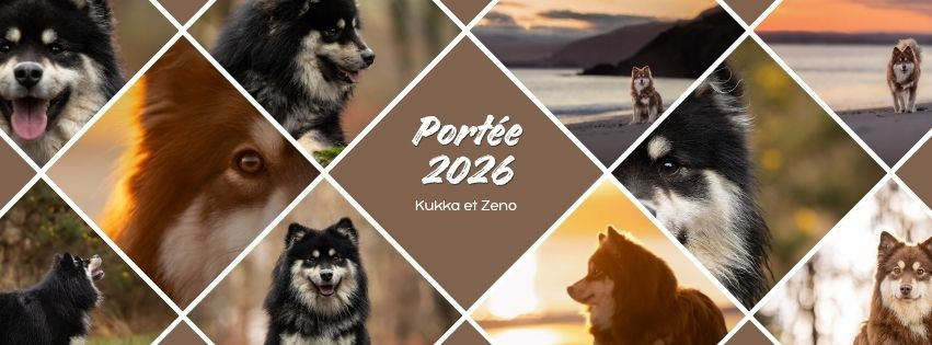 Projet de portée 2026 !